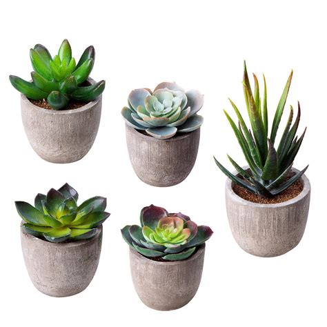 small artificial succulents